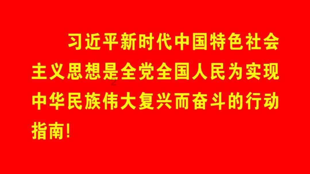 南方振兴|保护“地球之肺”助力巴西可持续发展