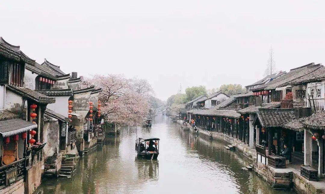 救援大胡子斗士